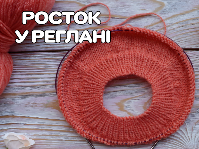 ЯК РОЗРАХУВАТИ РОСТОК У РЕГЛАНІ?