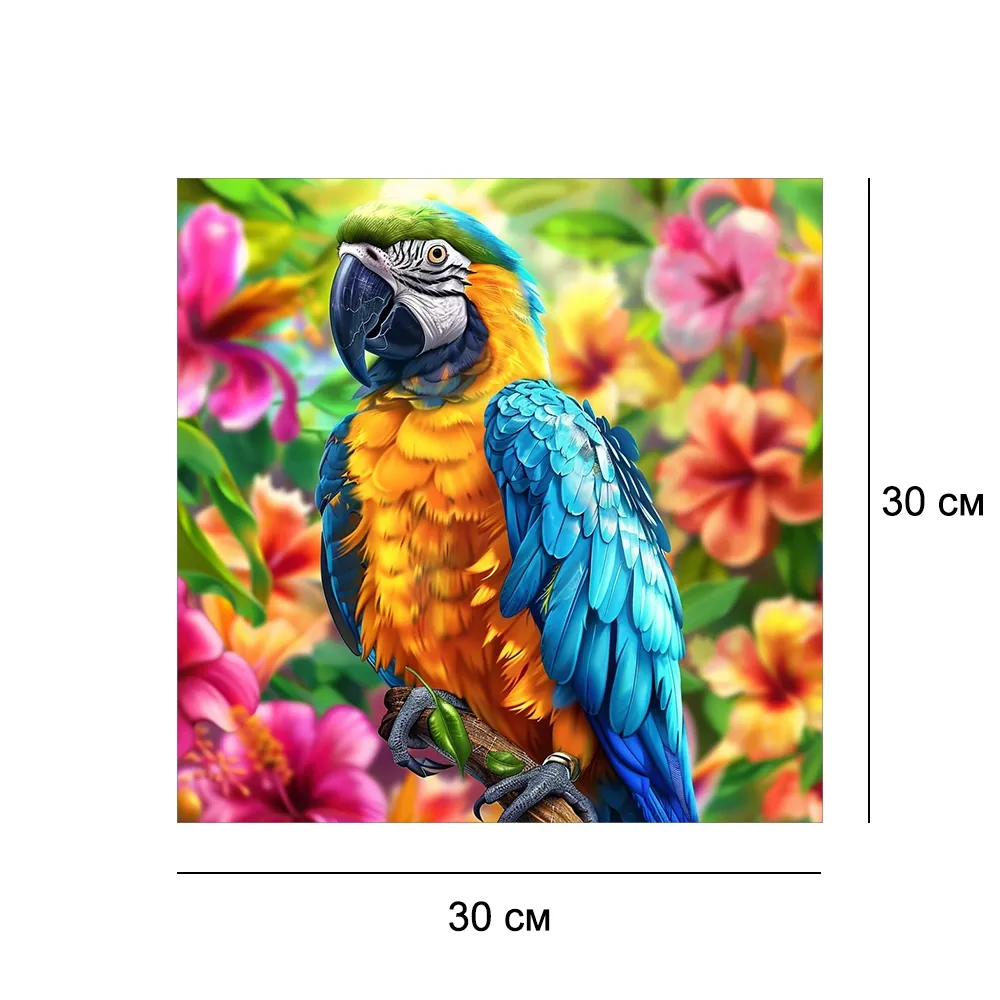 Алмазна мозайка без підрамника 30*30 