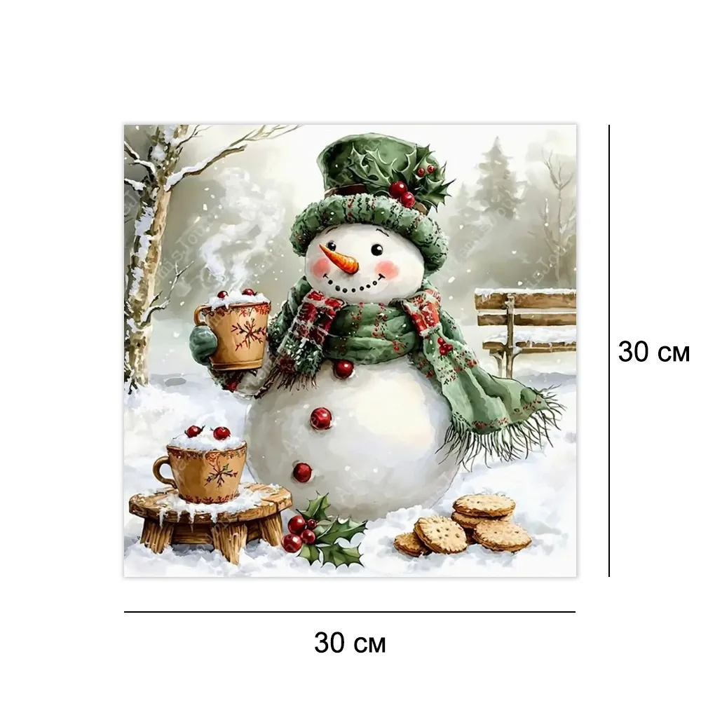 Алмазная мозайка без подрамника 30*30 