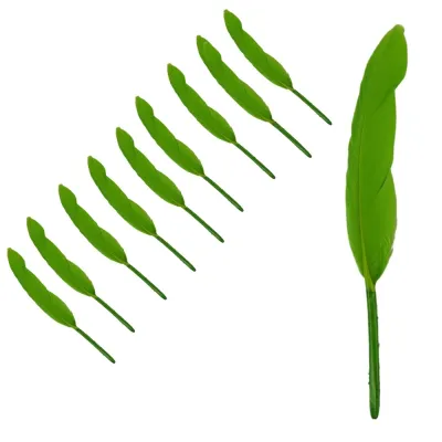 Перья для декору 10 шт, декоративне, 11-15 см, киви