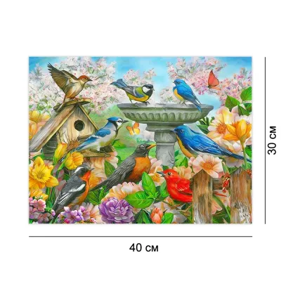 Алмазна мозайка без підрамника 30*40 "Збори пташок" №zw089, Китай