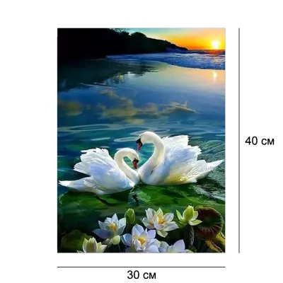 Алмазна мозайка без підрамника 30*40 "Білі лебеді на пруду" №FJ01358, Китай