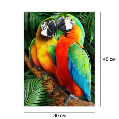 Алмазна мозайка без підрамника 30*40 "Тропічна пара" №DW00530, Китай