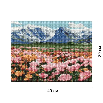 Алмазная мозаика 30*40 "Горное поле цветов" №20347 Идейка