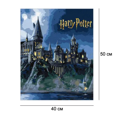 Картини за номерами 40*50 "Harry Potter: Гоґвортс вночі з фарбами металік extra" №5230 Ідейка