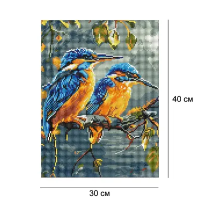 Алмазна мозайка 30*40 "Скарби природи" №8083, Ідейка