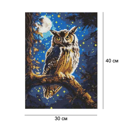 Алмазна мозайка 30*40 "Ночная сова с АВ стразами" №8160, Ідейка