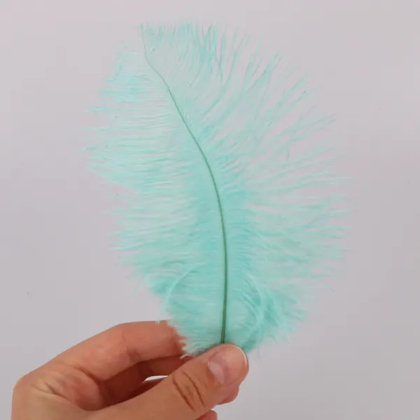 Пір'я для декору, страуса, 15-22 см, м'ята – купити | Candy Yarn