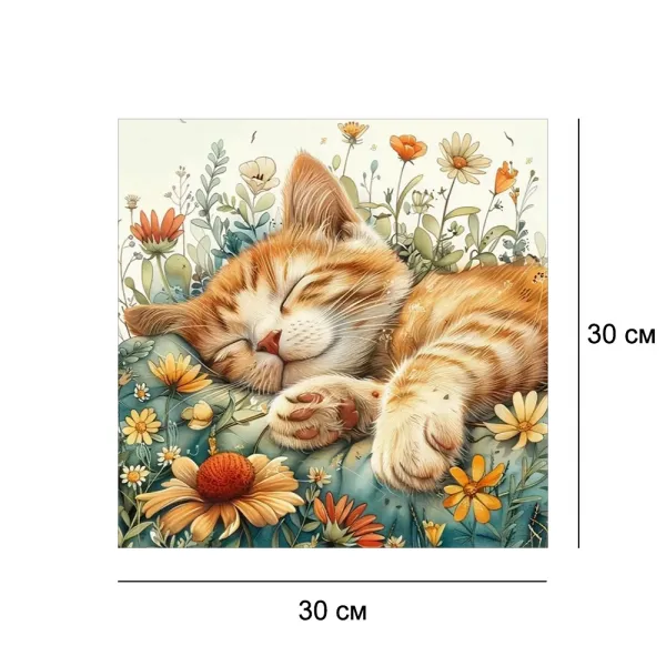 Алмазна мозайка без підрамника 30*30 
