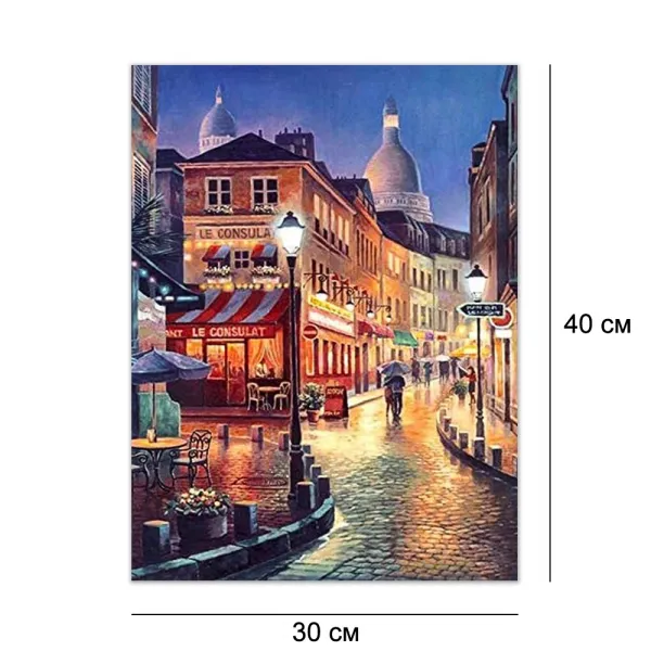 Алмазна мозайка без підрамника 30*40 