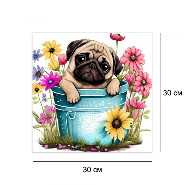 Алмазна мозаїка без підрамника 30*30 