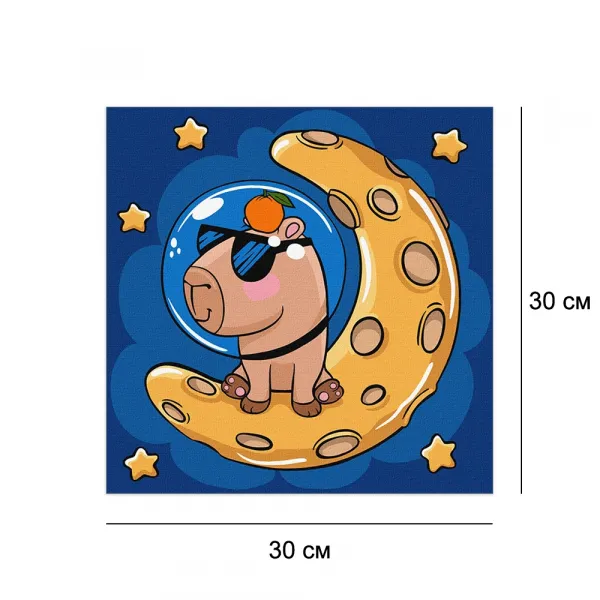 Картини за номерами 30*30 