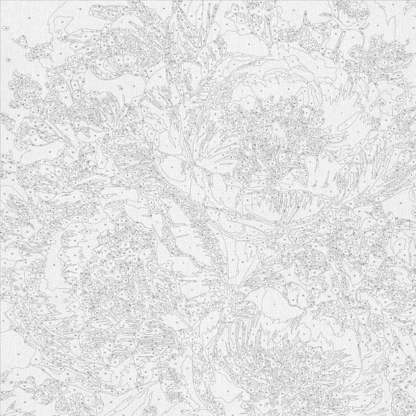 Картины по номерам 40*50 