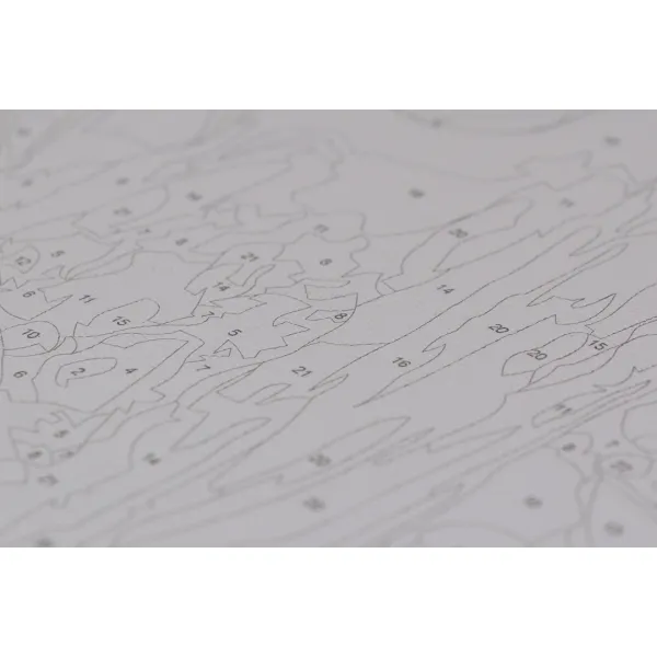 Картини за номерами 40*40 